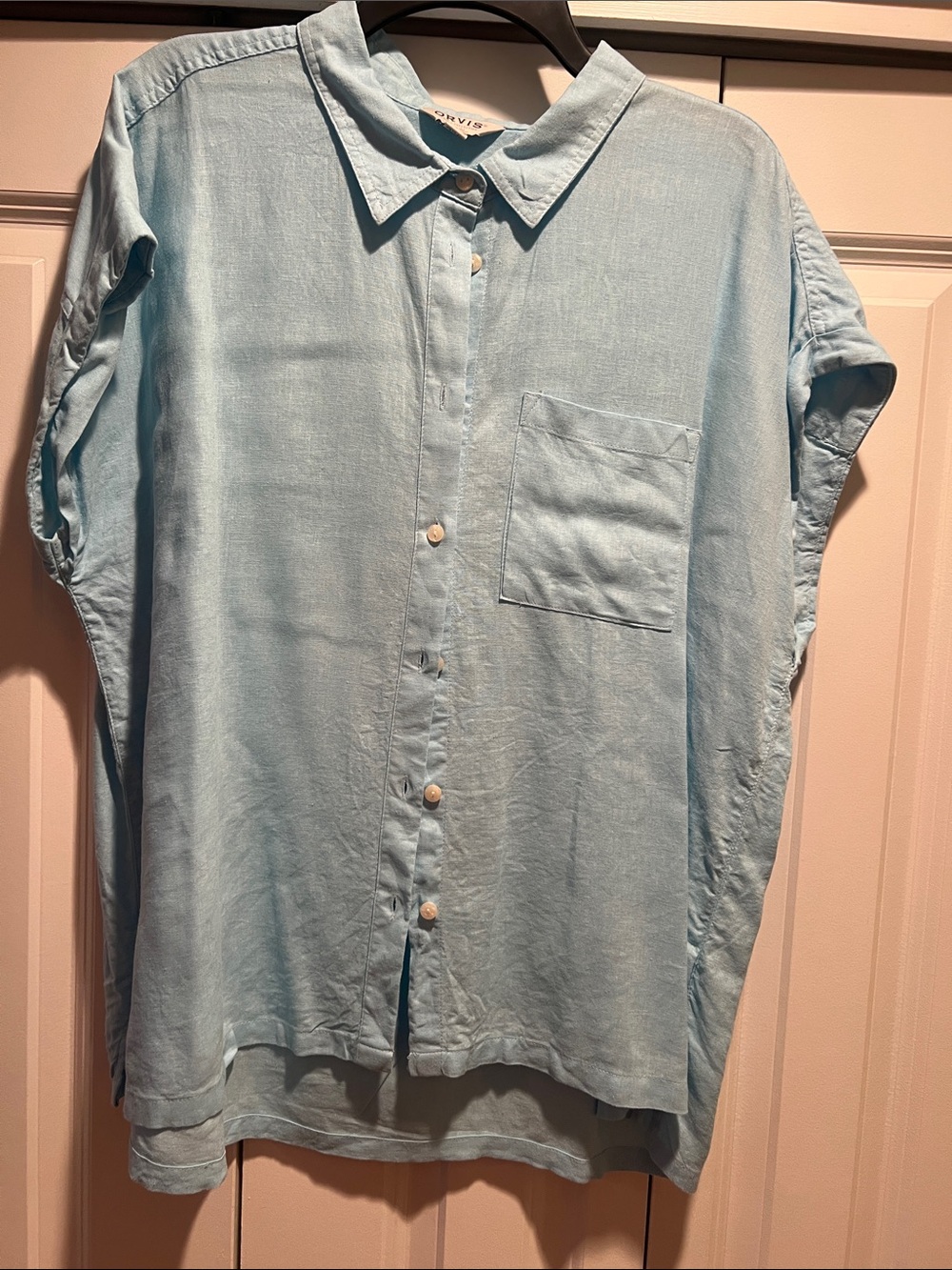 Orvis Light Blue Casual Button-Down Shirt